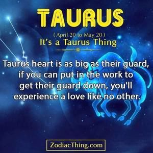 Meet your Posher, Candice